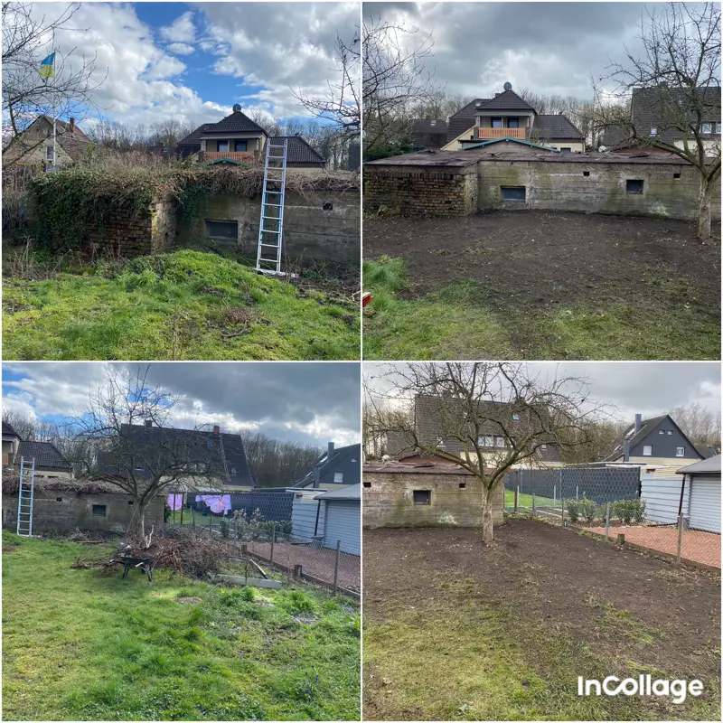 Gartenfläche nach Rückschnitt und Rodung