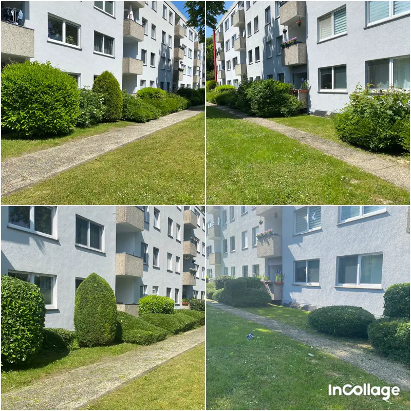 Gepflegte Hecken und Rasenfläche an einer Wohnanlage
